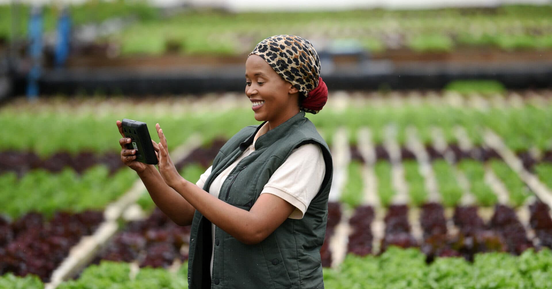 Local farmer using a digital device in the field