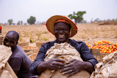 Smallholder and horticultural farmers